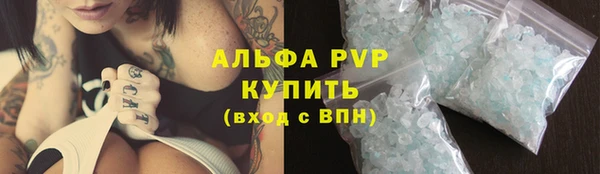 СК Кущёвская