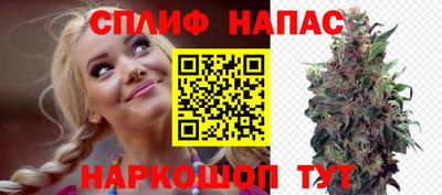 стаф Камышлов