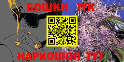 стаф Камышлов