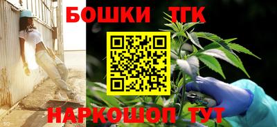 стаф Камышлов