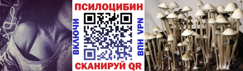 закладка  гидра зеркало  Псилоцибиновые грибы прущие грибы  Кандалакша 